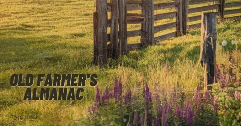 Old Farmer's Almanac